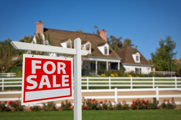 Sandpoint Real Estate