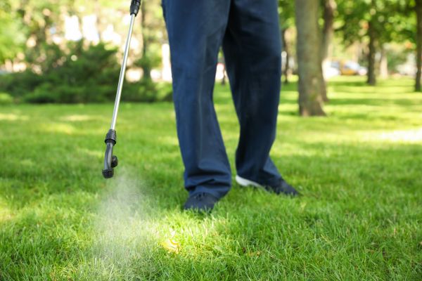 Sandpoint Lawn Treatment