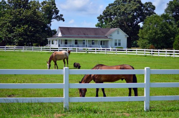 Sandpoint Fence Service